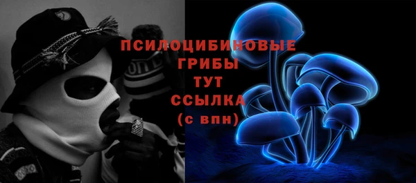 шишки Михайловка