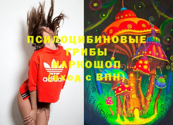 шишки Михайловка