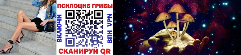 Галлюциногенные грибы MAGIC MUSHROOMS Юрьевец